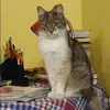 Отзыв от Татьяна Пименова